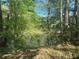 Overgrown backyard shows the surrounding nature and lake at 1291 Sunderland Ct, Atlanta, GA 30319