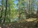 Overgrown backyard shows the surrounding nature and lake at 1291 Sunderland Ct, Atlanta, GA 30319