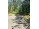 Picture showing a road leading into an overgrown lot at 1291 Sunderland Ct, Atlanta, GA 30319