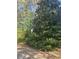 Lush green vegetation beside paved area with trees behind at 1291 Sunderland Ct, Atlanta, GA 30319