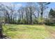 Spacious backyard featuring a large grassy area bordered by mature trees and a chainlink fence at 803 Denise Sw Ct, Stone Mountain, GA 30087
