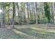A spacious backyard with lots of trees, sunlight and green grass at 2887 Hickory Ln, Snellville, GA 30078
