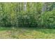 Backyard bordered by chain link fence and lush foliage at 4089 Lindsey Dr, Decatur, GA 30035
