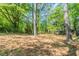 Spacious backyard with mature trees, perfect for outdoor activities and relaxation at 1477 Patricia Dr, Morrow, GA 30260
