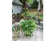 Landscaped patio with lush plants and seating, creating a serene outdoor retreat at 1495 Longwood Sw Dr, Marietta, GA 30008