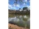 Scenic lake view with trees and water fowl at 1800 Clairmont Lk # A719, Decatur, GA 30033