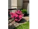 Landscaping with a vibrant pink flowering azalea bush next to a building's exterior at 1800 Clairmont Lk # A719, Decatur, GA 30033