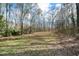 Large lot is heavily wooded with mature trees and native grasses at 1025 Pace Rd, Hiram, GA 30141