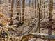A peaceful creek and foliage in a wooded setting at 2466 Thrasher Rd, Buford, GA 30519