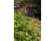 Lush landscaping showcasing vibrant pink flowers, greenery, and a charming butterfly at 1308 Fairview Ne Rd, Atlanta, GA 30306