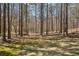 Expansive backyard featuring mature trees and lush grass, ideal for outdoor activities and enjoying nature at 1345 Bridgemill Ave, Canton, GA 30114