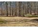 Picturesque backyard featuring mature trees, with natural surroundings, perfect for relaxation and privacy at 1345 Bridgemill Ave, Canton, GA 30114
