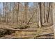 Serene stream running through the backyard, providing a tranquil and natural setting at 1345 Bridgemill Ave, Canton, GA 30114