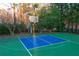 Outdoor basketball court with blue surface, surrounded by bare trees and greenery at 3816 Turnberry Ct, Duluth, GA 30096