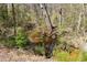 Scenic view of a creek surrounded by lush greenery at 4183 Hill House Sw Rd, Smyrna, GA 30082