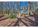 Backyard surrounded by a wooden fence features many trees and bushes in the yard at 4663 Hairston Crossing Pl, Stone Mountain, GA 30083