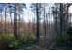 Spacious backyard with mature trees, a chicken coop, and serene natural surroundings at 959 Hampton Nw Trl, Lilburn, GA 30047