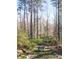Picturesque backyard showcasing a chicken coop nestled amongst mature trees and greenery at 959 Hampton Nw Trl, Lilburn, GA 30047
