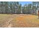 Large backyard with lush greenery and tall trees that is great for recreation and outdoor living at 220 Eastmark Way, Fayetteville, GA 30214