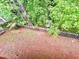 Large backyard with trees, a wooden fence and ample space for a variety of outdoor activities at 320 Six Branches Ct, Roswell, GA 30076