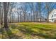 Expansive backyard with a playset and lush green lawn, perfect for outdoor activities and Gathering fun at 210 Barrett Springs Way, Canton, GA 30115