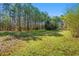 Spacious backyard featuring lush green grass and mature trees, perfect for outdoor activities and relaxation at 129 Euharlee 5 Forks Rd, Euharlee, GA 30145