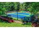Two well-maintained blue and green tennis courts surrounded by lush greenery offer a perfect recreational amenity at 2050 Plantation Rd, Lawrenceville, GA 30044