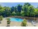 Outdoor pool surrounded by lush greenery, lounge chairs, and a relaxing atmosphere at 215 Piedmont Ne Ave # 2109, Atlanta, GA 30308