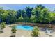 Beautiful community pool surrounded by lush trees with lounge chairs for relaxing at 215 Piedmont Ne Ave # 2201, Atlanta, GA 30308