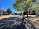 View of a quiet street within the Wynngate community showing well-maintained landscaping at 358 Azalea Cir, Cumming, GA 30040