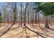 Expansive back yard surrounded by a wooden fence and mature trees at 1463 Bailey Farm Sw Dr, Marietta, GA 30064