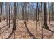 Back yard with mature trees at 1463 Bailey Farm Sw Dr, Marietta, GA 30064