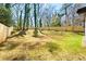 Expansive backyard featuring a lush lawn and mature trees at 2047 Boulderview Se Dr, Atlanta, GA 30316