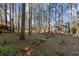 Wooded backyard with mature trees, creating a private and serene outdoor space at 3171 Jessica Dr, Douglasville, GA 30135
