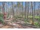 Inviting backyard retreat with deck, stone pathway, shed, and wooded views at 1438 Janmar Rd, Snellville, GA 30078