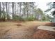 Large backyard with grass, mature trees, and plenty of space for outdoor activities at 3201 Palomino Dr, Powder Springs, GA 30127