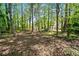A natural wooded backyard area with trees and a view of the back of the house in the distance at 745 Princeton Mill Run, Marietta, GA 30068