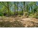 Large backyard featuring a wooded area with mature trees and natural foliage at 745 Princeton Mill Run, Marietta, GA 30068