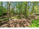 A natural wooded area in the backyard with trees providing shade and a small area of grass at 745 Princeton Mill Run, Marietta, GA 30068