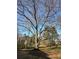 Expansive yard featuring a mature tree and beautiful landscaping at 7503 E Cherokee Dr, Canton, GA 30115