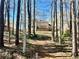 Back of the home with a view from a path that leads through the property at 4811 West Lake Se Dr, Conyers, GA 30094