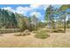 Manicured backyard with lush landscaping and mature trees at 3000 Gallery Walk, Snellville, GA 30039