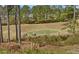 Scenic view of the neighborhood golf course and mature trees at 3000 Gallery Walk, Snellville, GA 30039