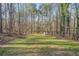Large backyard with mature trees, a playset, and plenty of space for outdoor activities at 2285 Briarwood Trl, Cumming, GA 30041