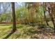 Backyard featuring large trees and a wooden fence at 2073 Lou Ct, Grayson, GA 30017