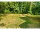 Large, vacant and overgrown backyard offers lots of potential and privacy surrounded by trees at 451 Collier Ridge Dr, Atlanta, GA 30318