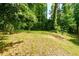 Overgrown backyard bordered by mature trees offers a serene and private outdoor space at 451 Collier Ridge Dr, Atlanta, GA 30318