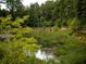 Picturesque pond surrounded by lush greenery, offering a serene and peaceful environment at 7220 Summit Pl, Alpharetta, GA 30009