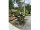 Beautiful view of lush flower garden bordering a sidewalk in a residential area at 2795 Kimmeridge Dr, Atlanta, GA 30344