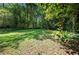 Manicured backyard with lush green grass and mature trees, creating a serene outdoor space at 3021 San Juan Dr, Decatur, GA 30032